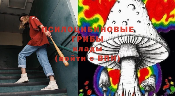 мяу мяу мука Мосальск