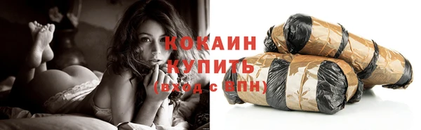 ПСИЛОЦИБИНОВЫЕ ГРИБЫ Пересвет
